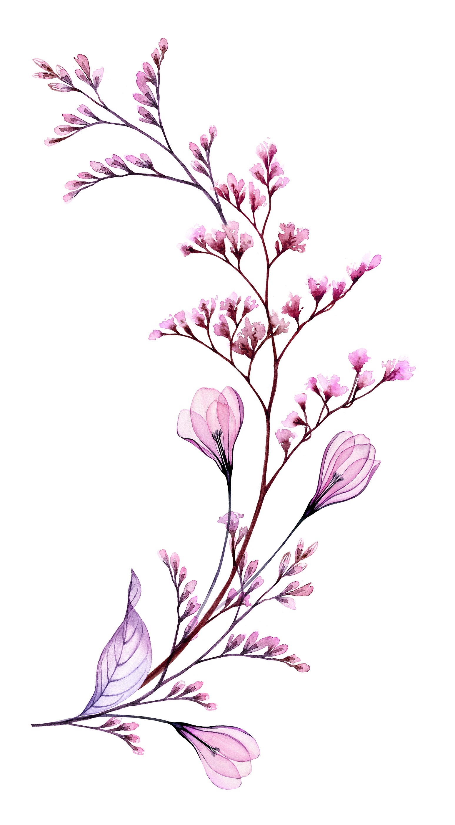 Watercolor Floral Arch. Hand Painted Artwork With Transparent Sp